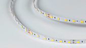 Светодиодная лента LUX, 5050, 60 LED/м, 14,4 Вт/м, 24В, IP33, Холодный белый (6000K), DSG560-24-W-33. Фото 2