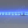 Светодиодная лента Standart PRO class, 3528, 60 led/m, Blue, 12V, IP65 - фото 3.