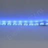 Светодиодная лента Standart PRO class, 3528, 60 led/m, Blue, 12V, IP65 - фото 4.