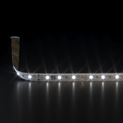 Светодиодная лента 12&amp;nbsp;В 4,8&amp;nbsp;Вт/м 60 Led/м 2835 IP65, дневной белый 4200К, 5 м 12V 4,8W 60Led 2835 IP65 дневной белый, 5м (050577)