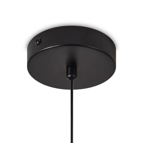 Подвесной светильник Freya FR5494PL-0GR (Черный) - фото 2