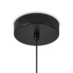 Подвесной светильник Freya FR5494PL-0GR (Черный)