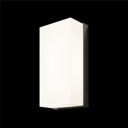 Настенный светильник (бра) Badd 3000K 10Вт IP 54 (Графит) - фото 4