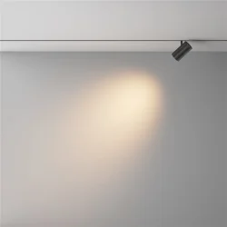 Трековый светильник Фокус / Focus Led Exility X 2700-6000K 12Вт 36° Dim Dali2 (Черный) TR243-4-12WTW-DD2-B
