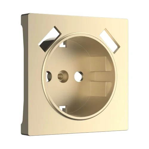 Накладка для USB розетки (шампань) W1179511 - фото