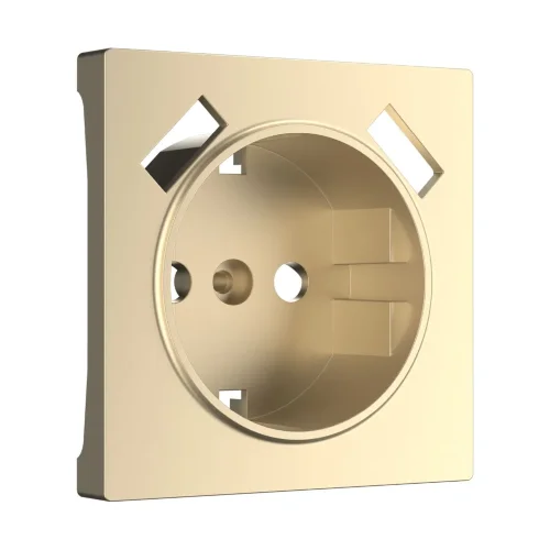Накладка для USB розетки (шампань) W1179511 - фото