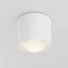 Потолочный светильник Линза / Lens 15 Вт 3000 К 70° IP 44 (Белый) C217CL-15W3K-W - фото 8