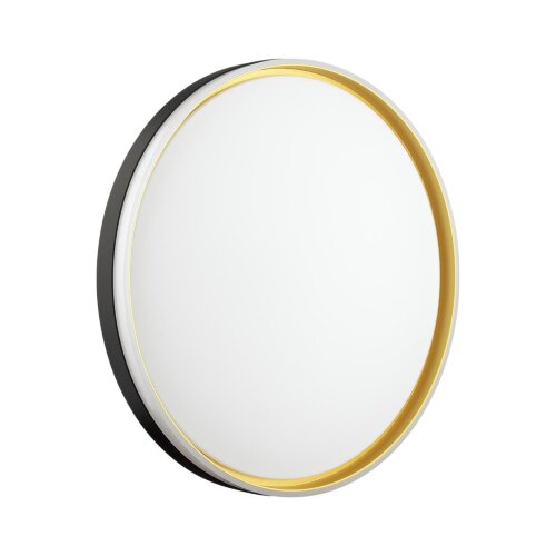 Настенно-потолочный светильник «Sonex» 7619/ELN, серия: SAVI (накладной). Фото 1.