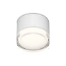 Влагозащищенный светильник Denkirs AQUA | АКВА DK-DH2610-WH. Фото 4