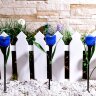 USL-C-454-PT305 BLUE TULIP Садовый светильник на солнечной батарее Синий тюльпан, Белый свет, 1xLR аккумулятор в-к, IP44. - фото 4