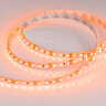 Светодиодная лента RT-A120-8mm 12V Orange (9.6 W/m, IP20, 2835, 5m) (Arlight) - фото 2