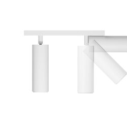 Накладной светильник Trunk Duo (RAL9003/D55 — GU10)