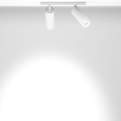 Накладной светильник Trunk Duo (RAL9003/D55 — GU10)