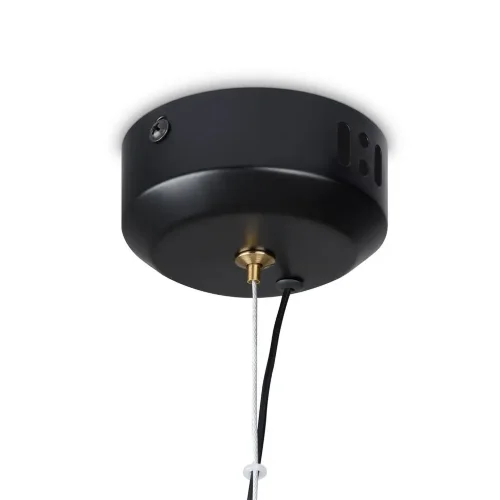 Подвесной светильник Freya FR5384PL-L5BL (Черный) - фото 4