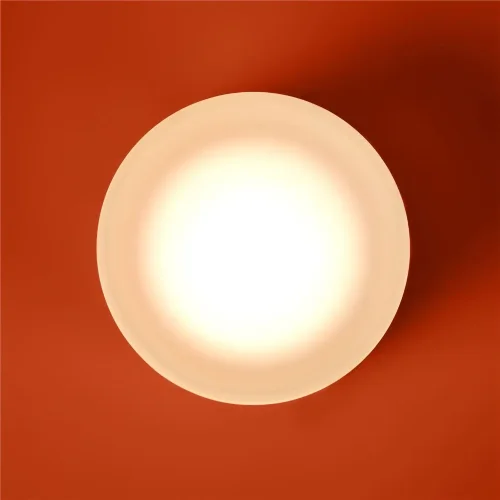 Настенный светильник (бра) Freya FR5603WL-L8W (Никель) - фото 7