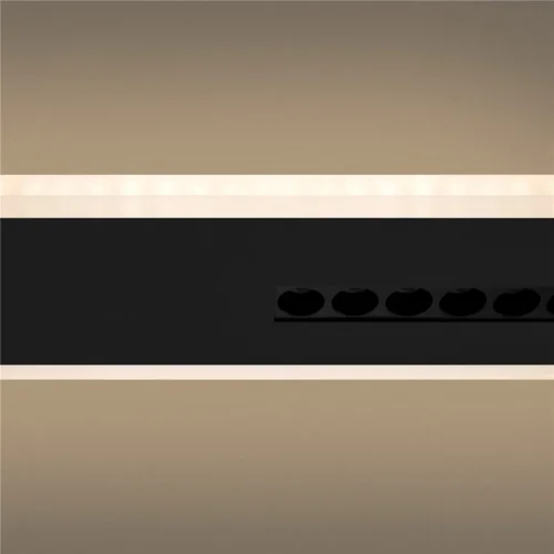 Потолочный светильник FR6105CL-L40B Сияние / Shine 24 Вт LED (Черный) FR6105CL-L40B - фото 4