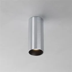 Потолочный светильник Фокус / FOCUS LED 12 Вт 3000 К 50° (Платина) C056CL-L12W3K-W-PT