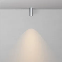 Потолочный светильник Фокус / FOCUS LED 12 Вт 3000 К 50° (Платина) C056CL-L12W3K-W-PT