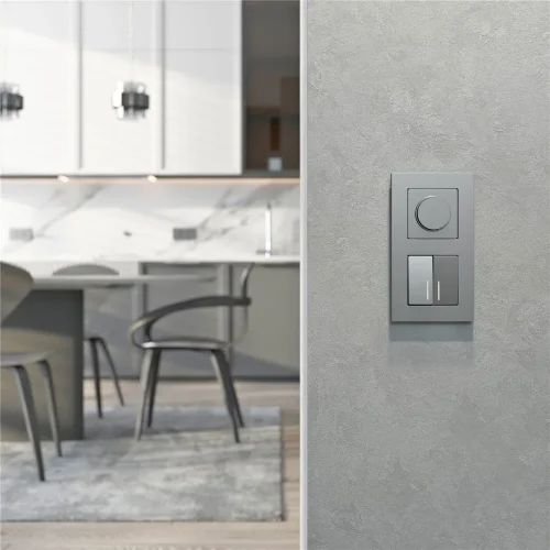 Диммер N (серебряный матовый) W1142065 - фото 3