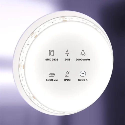 Светодиодная лента 24В 2835 20Вт/м 6000K 5м IP20 (Белый) - фото 5