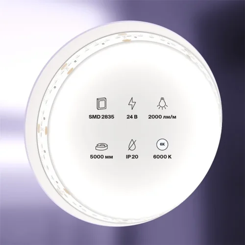 Светодиодная лента 24В 2835 20Вт/м 6000K 5м IP20 (Белый) 10156 - фото 5