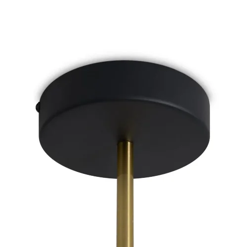 Подвесной светильник Freya FR6173PL-L18B (Черный) - фото 5