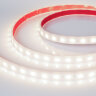 Светодиодная лента герметичная RTW-PW-B60-13mm 24V Day4000 (14.4 W/m, IP66, 5060, 5m) (Arlight) 016181(2) - фото