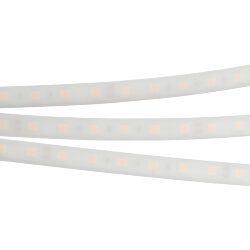 Светодиодная лента герметичная RTW-PW-В60-13mm 24V Day4000 (14.4 W/m, IP66, 5060, 5m) (Arlight) 016181(2)