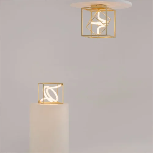 Потолочный светильник Membrane 3000К 9Вт (Латунь) - фото 7