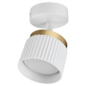 Светильник WOLTA WSL-GX53/19WG-2 под лампу GX53 Белый / Золотой MUSE - фото 1.