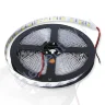 Светодиодная лента Standart PRO class, 5050, 60led/m, Warm White, 24V, IP20 - фото.