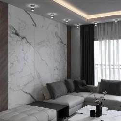 Накладной светодиодный светильник DLS026 (053601)