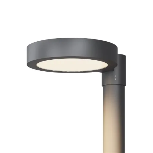 Парковый светильник Dion 3000К 50Вт IP 65 (Графит) - фото