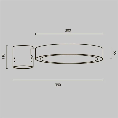 Парковый светильник Dion 3000К 50Вт IP 65 (Графит) - фото 2