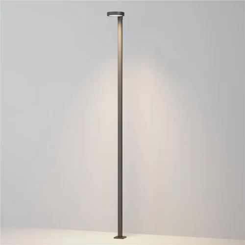 Парковый светильник Dion 3000К 50Вт IP 65 (Графит) - фото 4