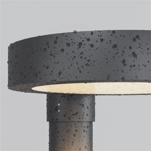 Парковый светильник Dion 3000К 50Вт IP 65 (Графит) - фото 6