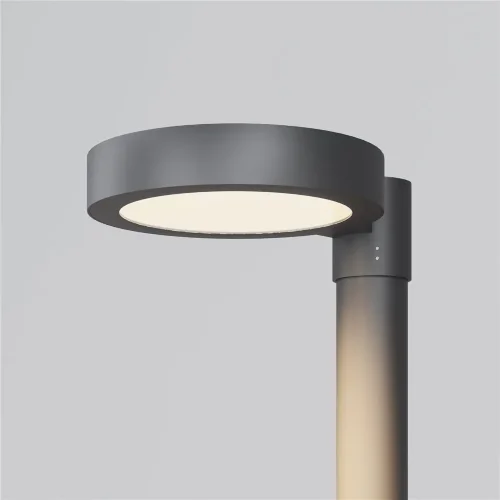 Парковый светильник Dion 3000К 50Вт IP 65 (Графит) - фото 7