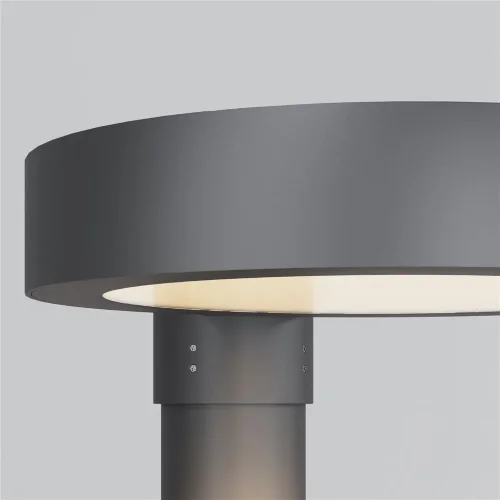 Парковый светильник Dion 3000К 50Вт IP 65 (Графит) - фото 8