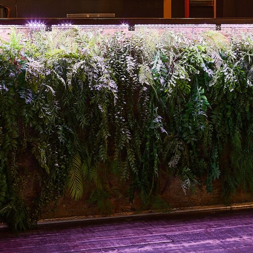 ULS-P71-2835-42LED-m-IP65-3M-SPLE RRP24C00 Комплект светодиодной ленты 3м, Спектр для фотосинтеза, Адаптер 24Вт, Блистер, TM Uniel - фото 2