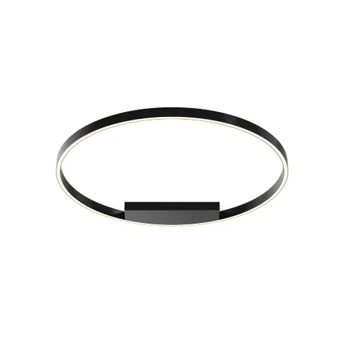 Потолочный светильник Rim 3000-4000К 49Вт (Черный) - фото