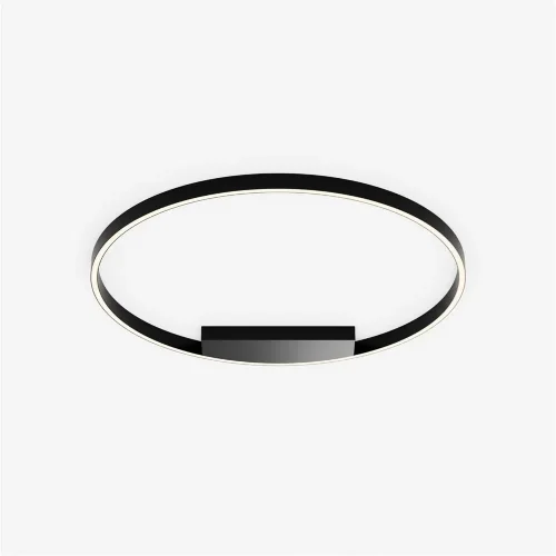 Потолочный светильник Rim 3000-4000К 49Вт (Черный) - фото 3