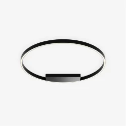 Потолочный светильник Rim 3000-4000К 49Вт (Черный)