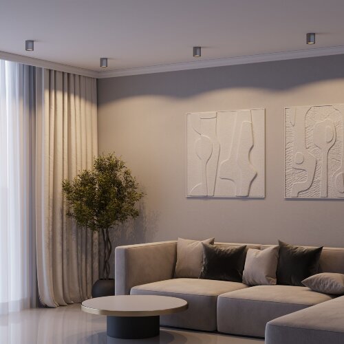 Светильник потолочный светодиодный Primo 12W 4000K титан - Фото 3