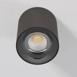 Светильник потолочный светодиодный Primo 12W 4000K титан 25116/LED (069415)