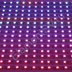 Светодиодная лента LUX class, 5050, 60 led/m, V62, RGB-SPI (WS2811A), 5V, белый шлейф, IP33