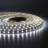 Светодиодная лента Class Premium 5050 60led/m, RGB+CCT (RGB+white/ warm white), 24V, IP20, A42 - фото II