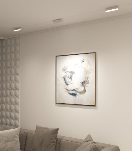 DK8009-WH Поворотный матовый светильник SMART 9W DIM 3000K-6000K белый. Фото 5