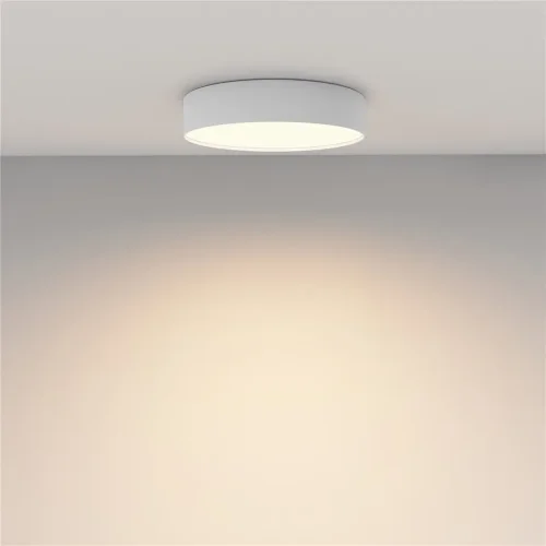 Потолочный светильник Зон / Zon 36 Вт 3000 К 120° (Белый) C032CL-36W3K-RD-W - фото 7