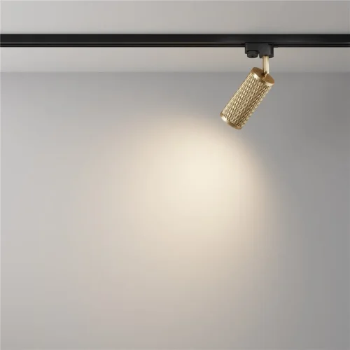 Трековый светильник Фокус Дизайн / Focus Design Unity GU10 10Вт (Черный) TR011-1-GU10-G - фото 11