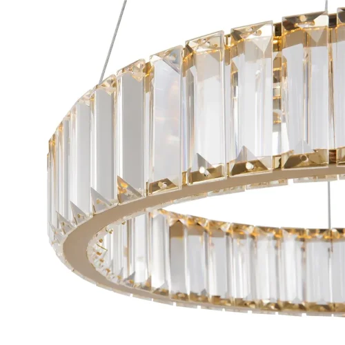 Подвесной светильник Freya FR5257PL-L17G (Латунь) - фото 4